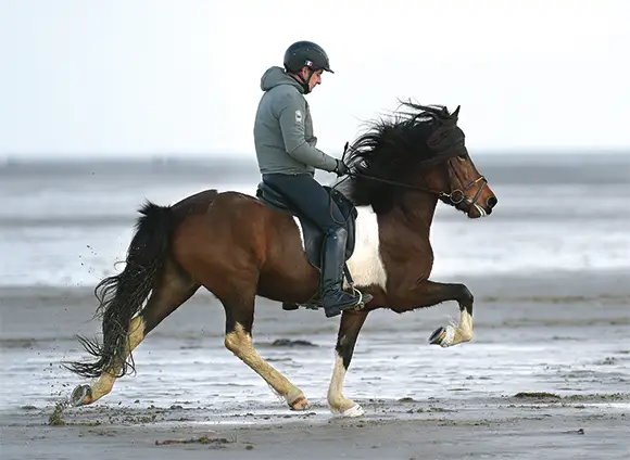 Jacques Pailloncy reitet ein Islandpferd am Strand